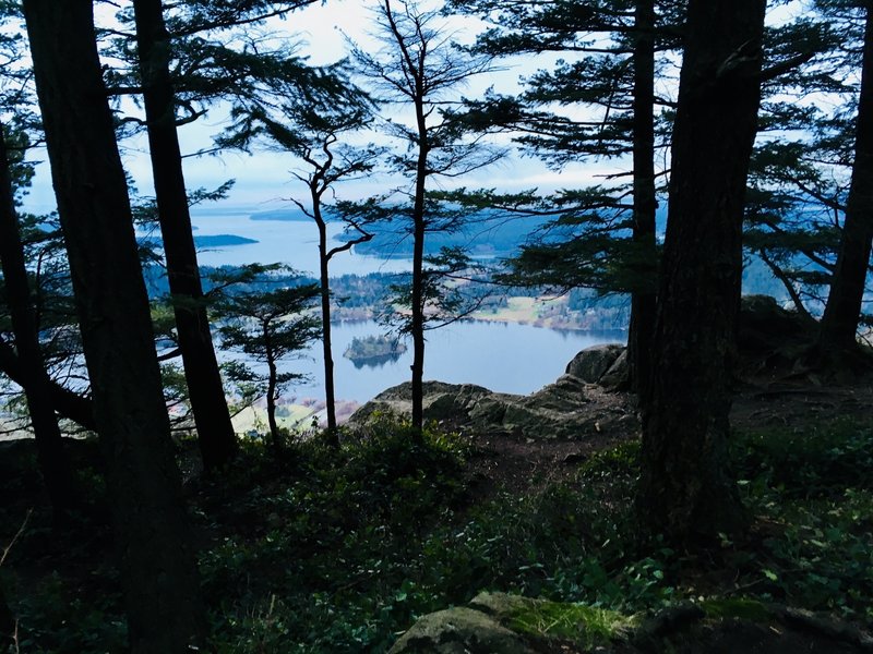 Lake Campbell peeking through the trees.