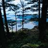 Lake Campbell peeking through the trees.