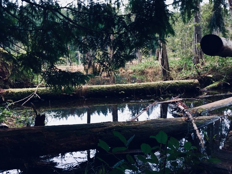 This lake is definitely not for kayakers.