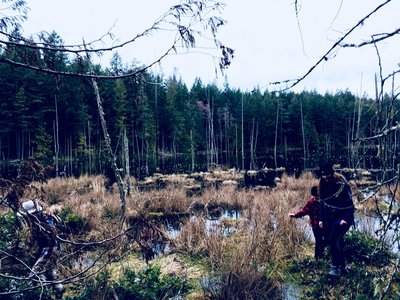 As you can see this is a very swamp like lake.