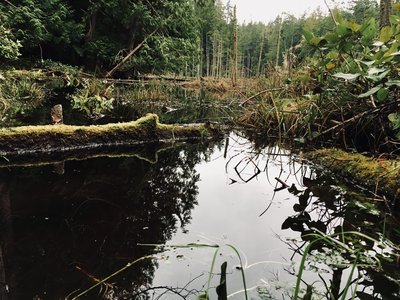 The reflection on the lake is always a sight to see.