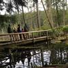 Hikers on the bridge.