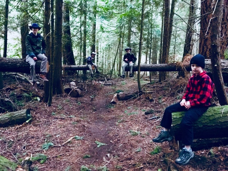 Hikers on logs!