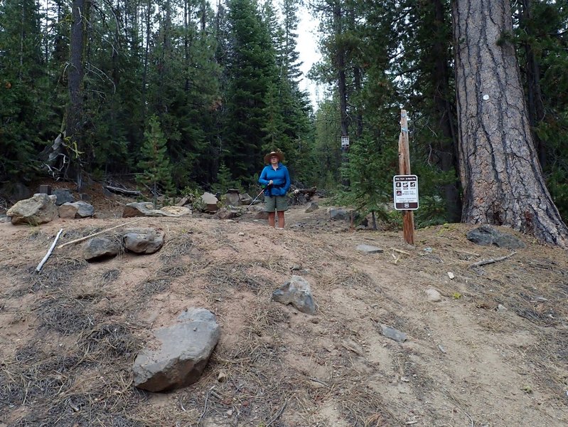 The giant berm at the start of the Yamsay Mountain Trail