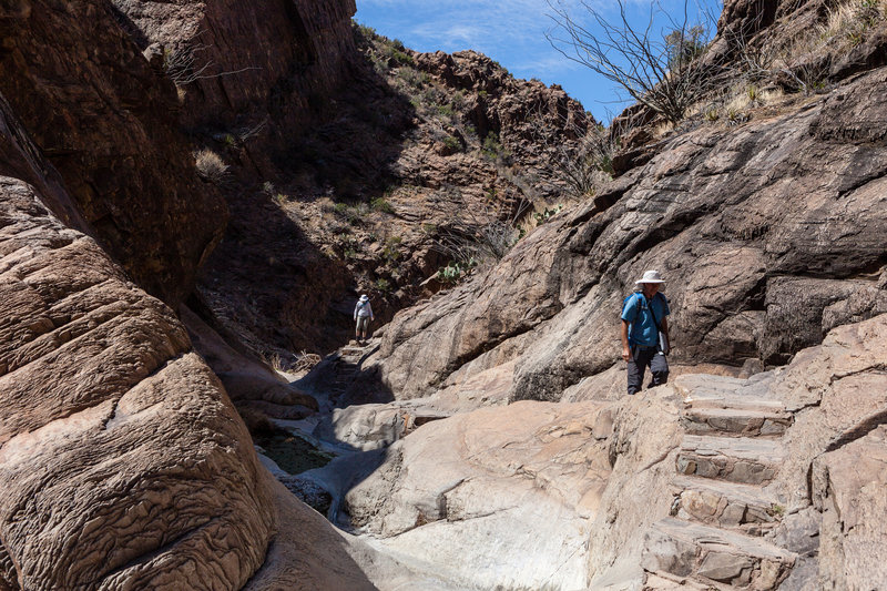 hikers on Window Trail