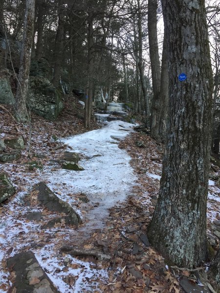 In the winter sections of Poets Ledge / Long Path trail feel like an ice climb...this is 1 of them!