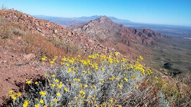 View of  Franklin Mountains from the trail