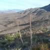 Looking North on the trail.