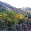 View of the scree field and fall foliage