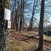 Midway thru the hike where the trail comes out to Lone Elk Park Rd