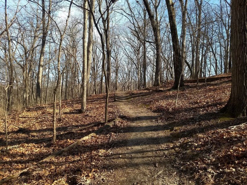 Switchback headed uphill