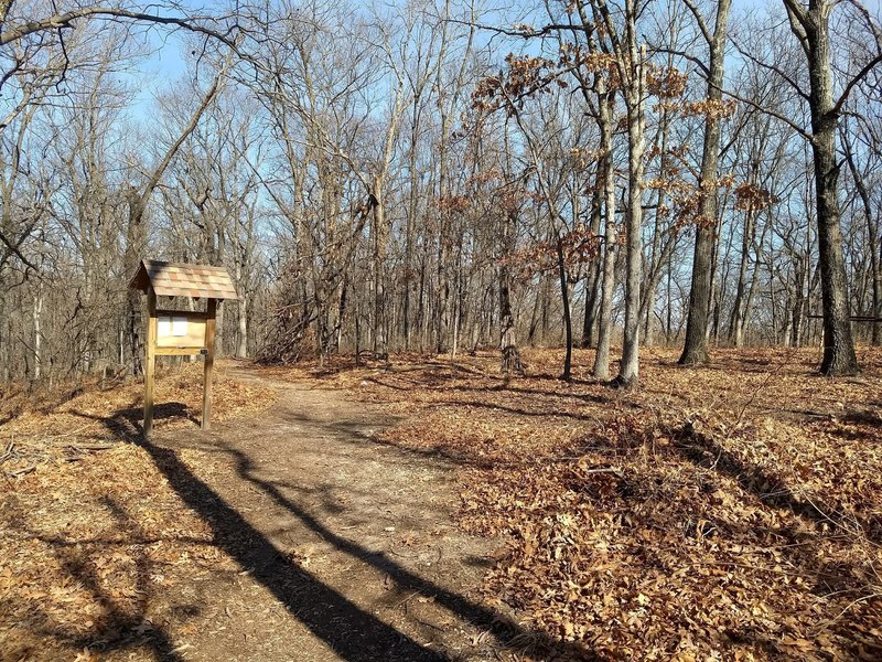 Looking back at the Turtlebob trail with my back to Lone Elk Park Rd