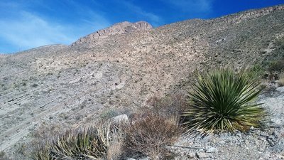 Climbing up the mountain side.