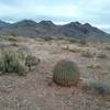 Winter view of the Organ Mountains from the trail