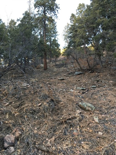 Clambering up the trail, this is a tough incline