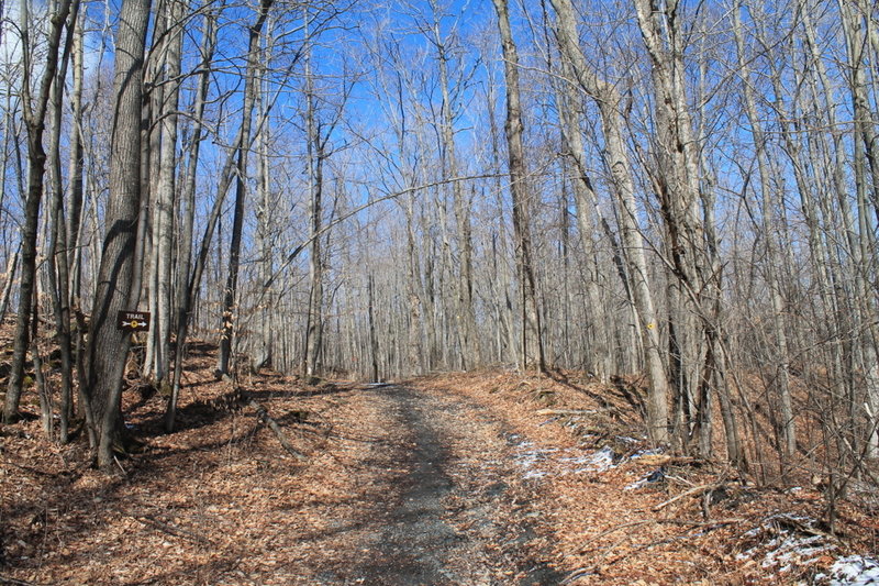 Nice day on Carrick Road and the Perimeter trail.