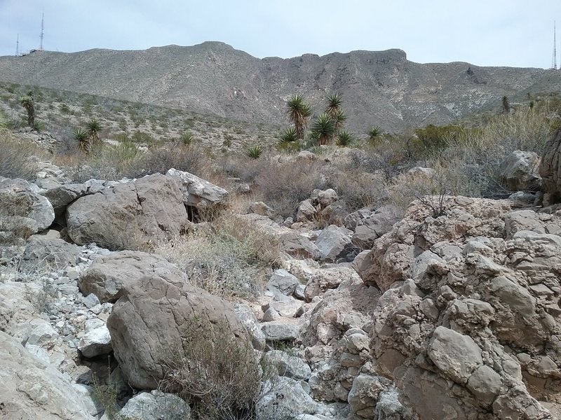 Looking east from the trail towards the Franklin Mountains. View from the arroyo.