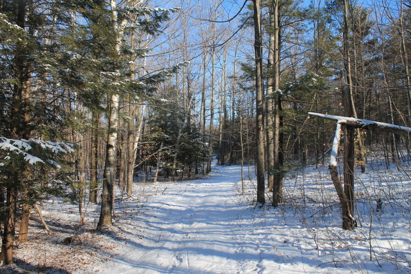 Fresh snow on Hang Glider Road.