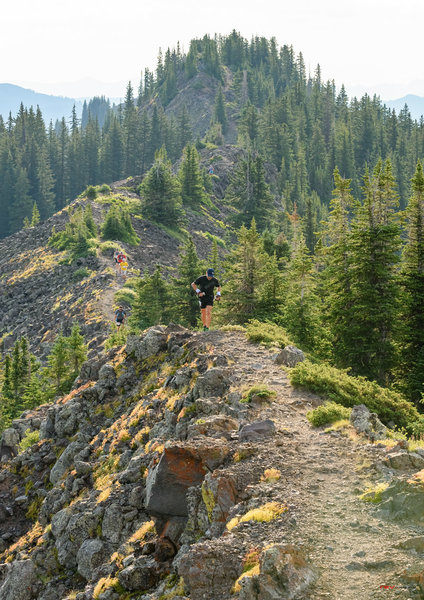 Runners on the Grand Mesa Ultras Course traversing Crag Crest