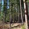 Reaching the edge of Pine Bench