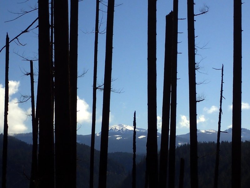 Diamond Peak from Pine Bench