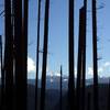 Diamond Peak from Pine Bench