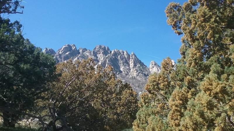 Looking North from the Trail