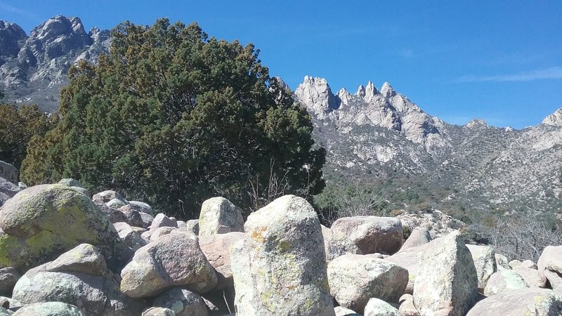 Looking North from the Trail, my lunch spot