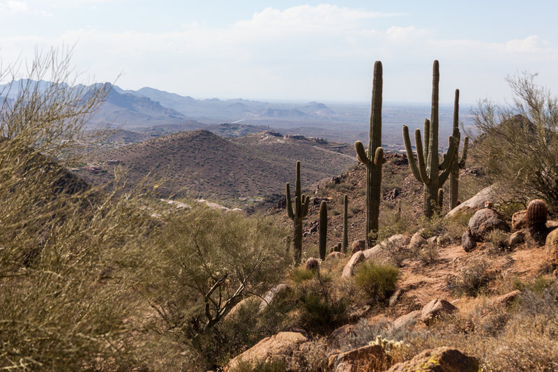 view from Sunrise Trail