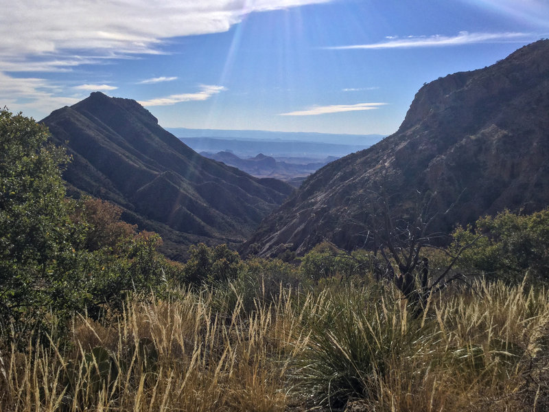 panorama from trail