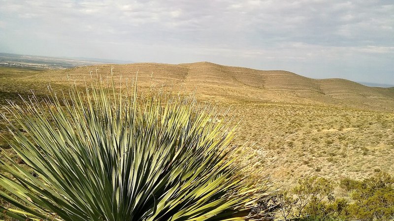 Looking west from the trail