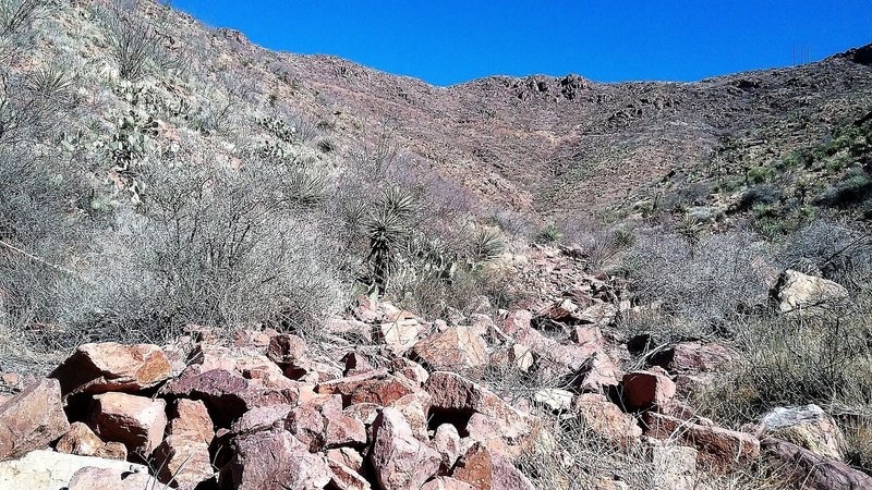 View of  Franklin Mountains from the trail