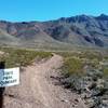 View of the Franklin Mountain from the start of the trail