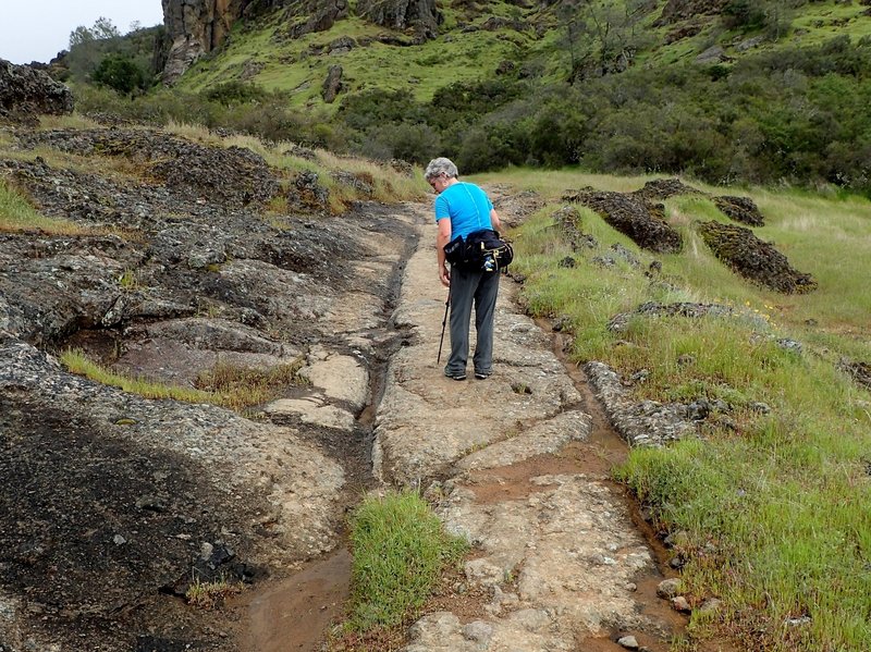 Wagon ruts in the trail