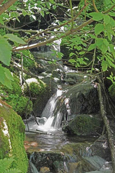 Waterfall on the trail to Lover's Leap