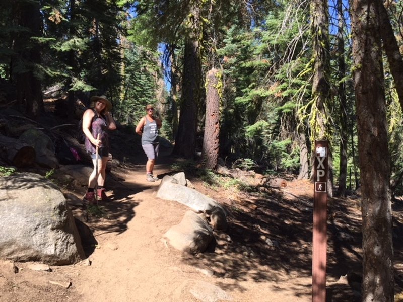 The upper fork takes hikers to the top of Lover's Leap. The lower fork, the historic Pony Express Trail, takes hikers below to Lover's Leap campground. To the photog's back, the trail goes to Camp Sacramento.