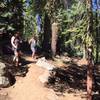 The upper fork takes hikers to the top of Lover's Leap. The lower fork, the historic Pony Express Trail, takes hikers below to Lover's Leap campground. To the photog's back, the trail goes to Camp Sacramento.