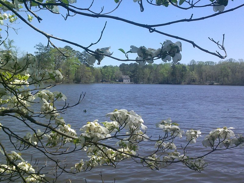 View of lake and mill from trail in the spring