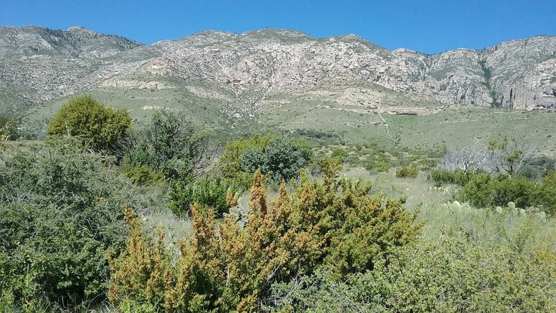 View of the Guadalupe Mountains