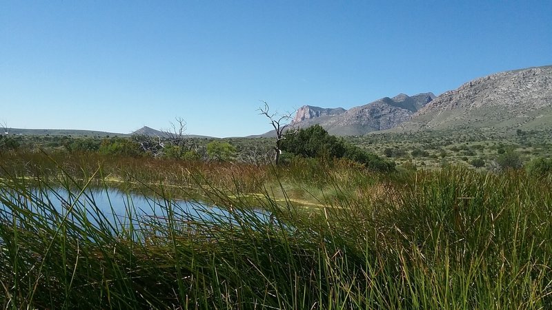 View of the Spring.