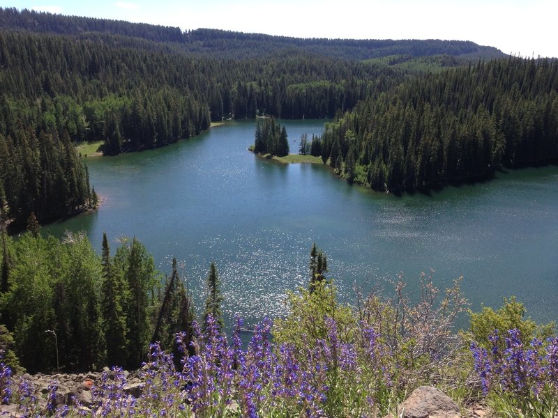 Cruising above Mesa Lake