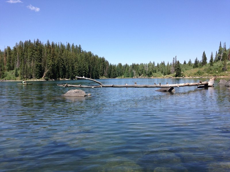 Along Mesa Lake