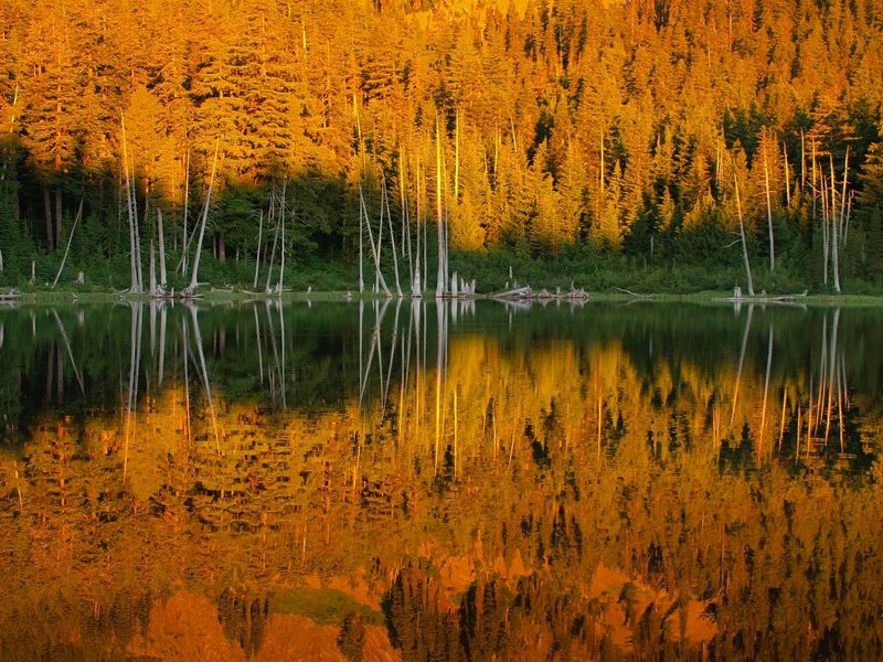 Rainy Lake at dawn