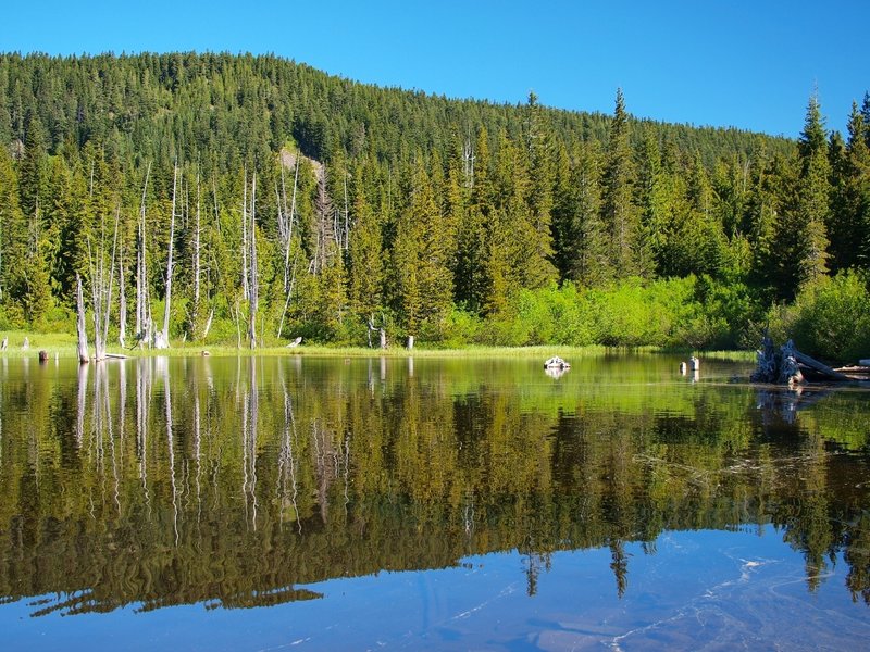 Rainy Lake