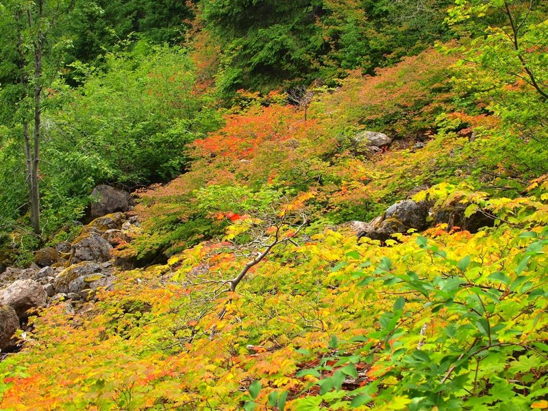 Fall colors on the North Lake Trail