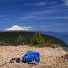 Mount Adams from Green Point Mountain