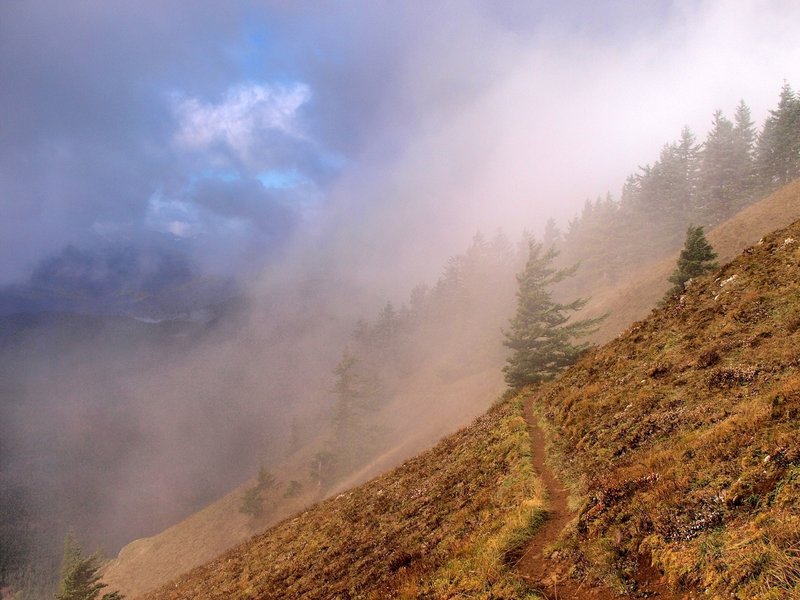 The Tie Trail in late fall