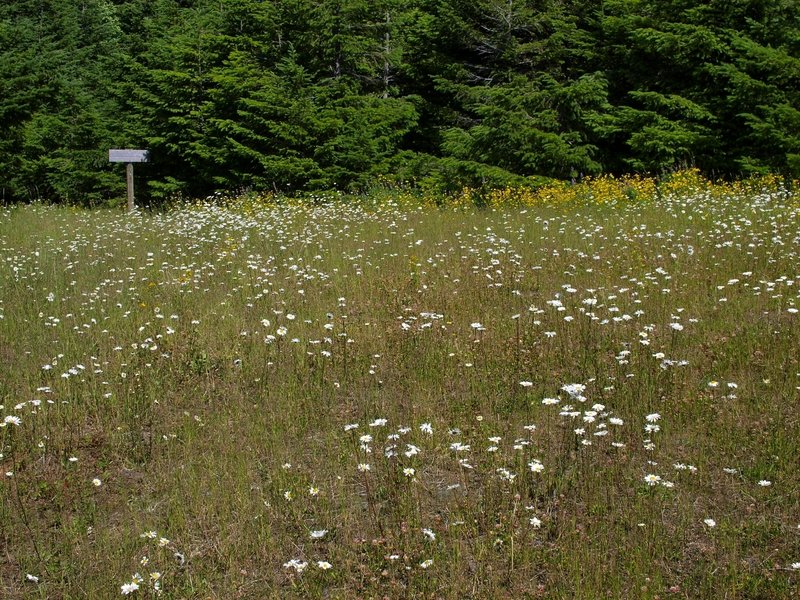 The Augspurger Trail's northern trailhead