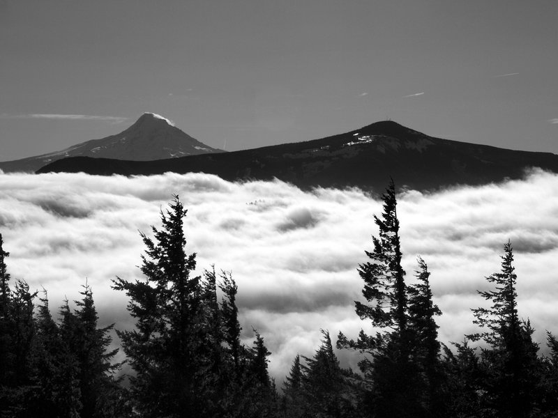 Mt. Hood (L) and Mt. Defiance (R) from the Augspurger Trail