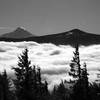 Mt. Hood (L) and Mt. Defiance (R) from the Augspurger Trail